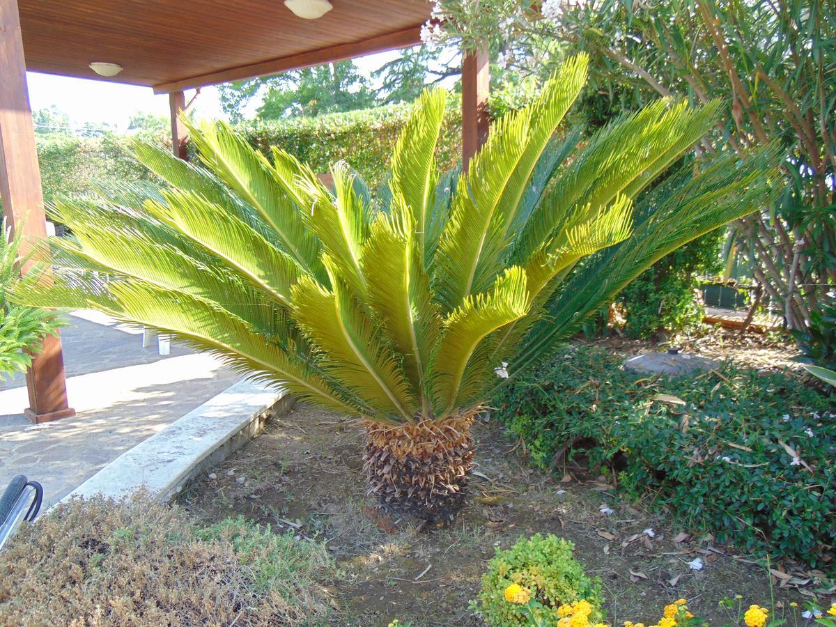 Villa Celeste B&B Pontecagnano Luaran gambar