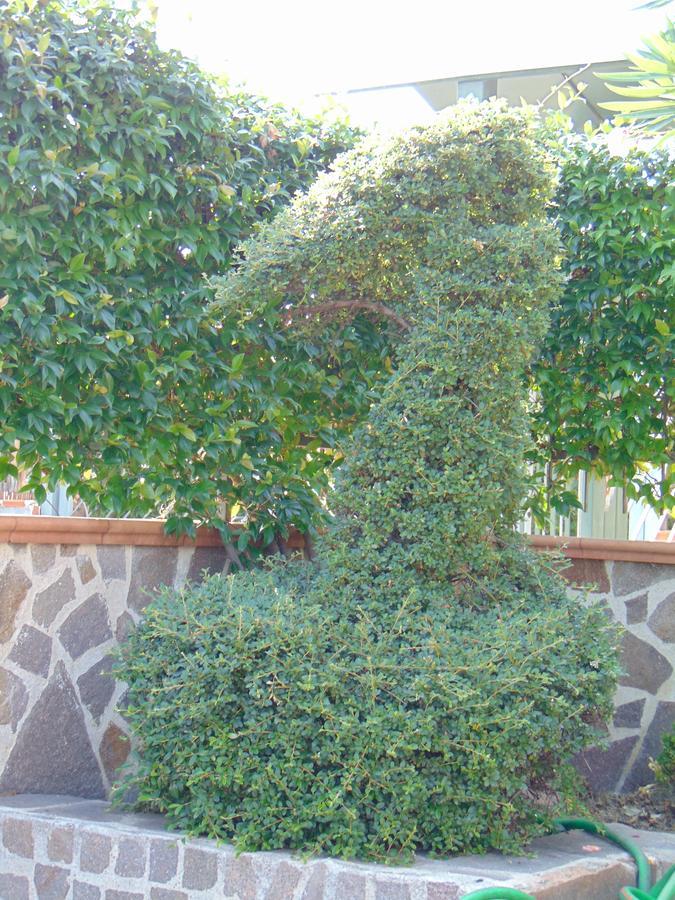 Villa Celeste B&B Pontecagnano Luaran gambar